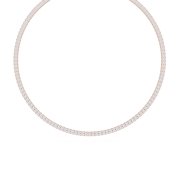 LNC01
