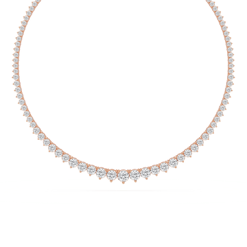LNC02
